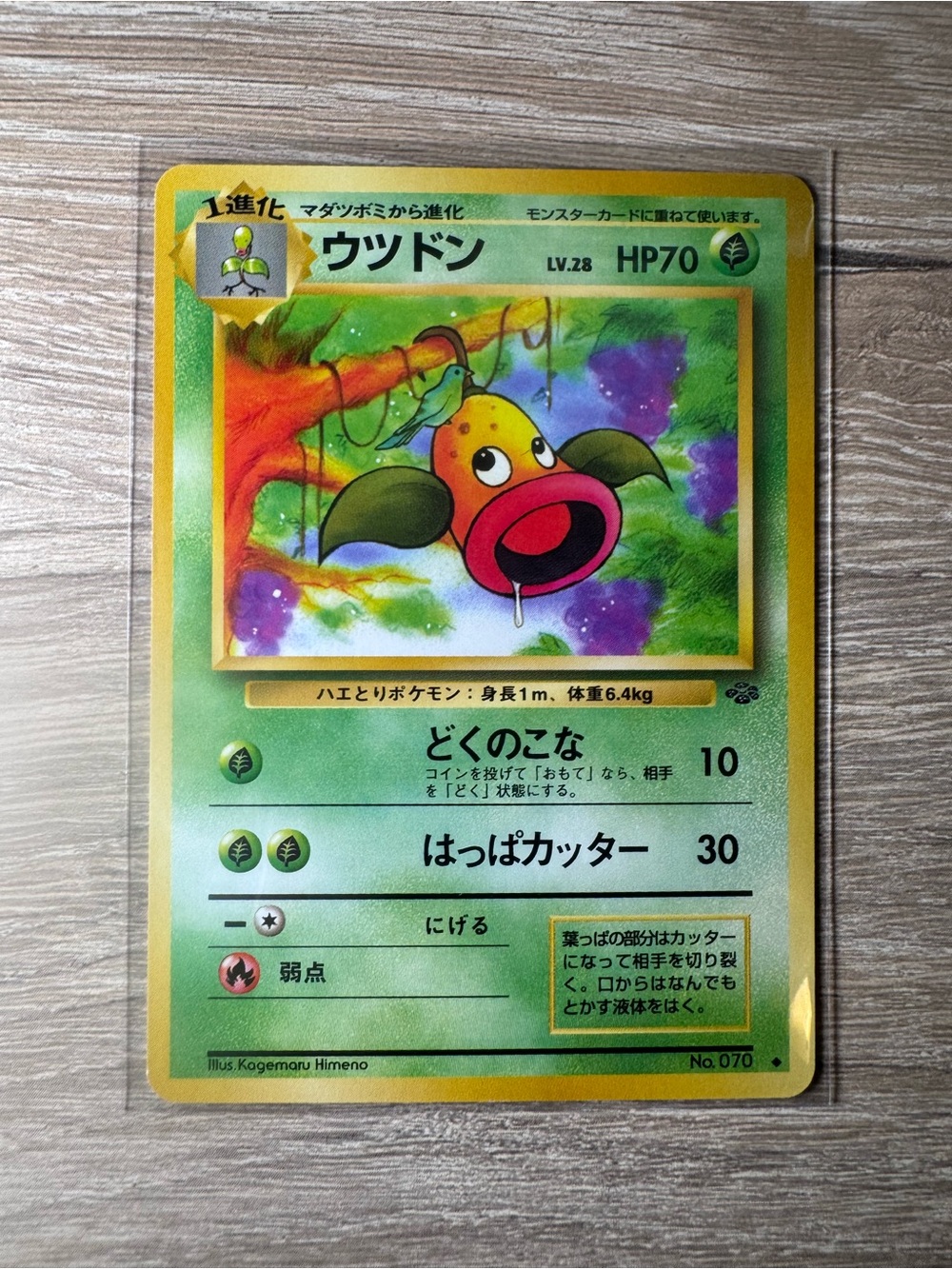 Weepinbell #70
Pokemon Japanese Jungle